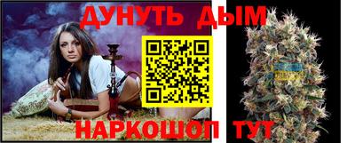 трава Будённовск