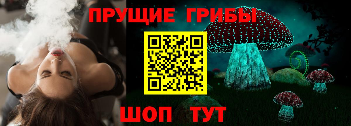 Псилоцибиновые грибы GOLDEN TEACHER Светлоград